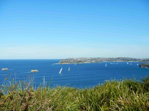 Manly 039