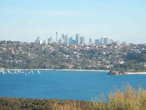 Manly 045