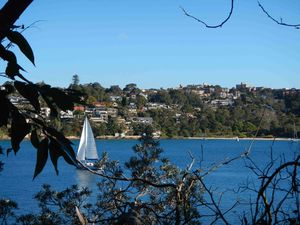 Manly 052
