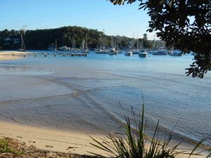 Manly 055