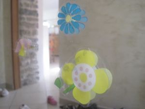 IMG 3269