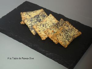 Crackers-pavot-parmesan--7-.JPG