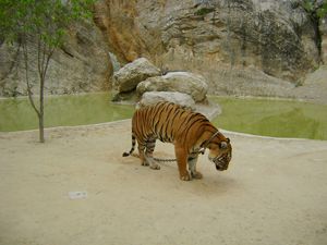 thailande--193-.jpg