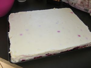 IMG 4150