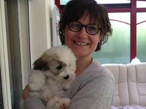 ippy coton de tulear bordeaux