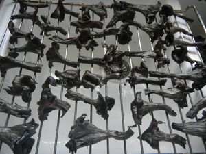 Trompettes des morts (9)