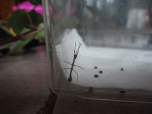 DSC04701