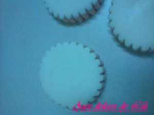 Photo-0003