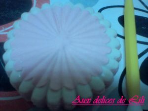 Photo-0006