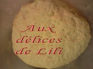 Photo-0001