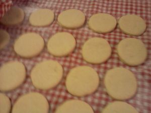 Photo-0003