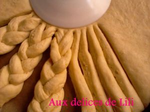 Photo-0088