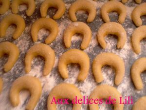 Photo-0602
