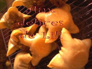Photo-0067