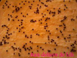 Photo-0109