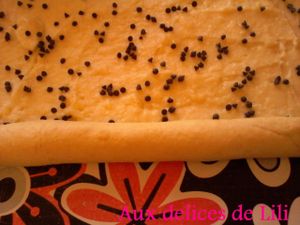 Photo-0111