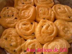 Photo-0117