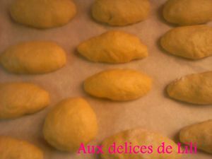 Photo-0137