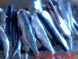 Photo-0399