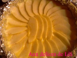 Photo-0009