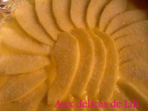 Photo-0010