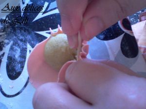 Photo-0042
