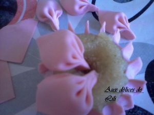Photo-0045