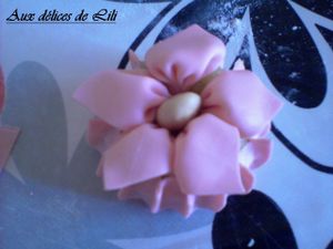 Photo-0047