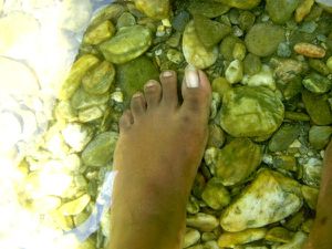 Fish pedicure4