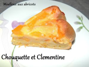 moelleux-aux-abricots.jpg