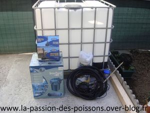 DSC03780 (Copier)