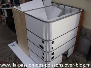DSC03788 (Copier)