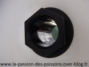 DSC03793 (Copier)