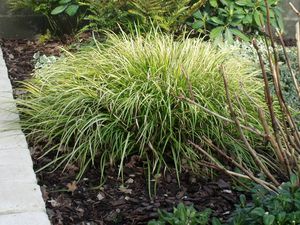 fevrier-2013-044.JPG