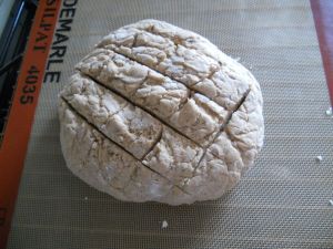 DSCN1616.JPG
