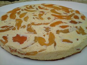 flan-aux-abricots.JPG