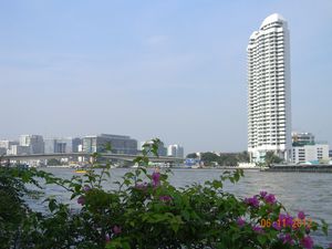 DSCN5243