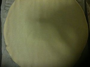 palmier5.JPG