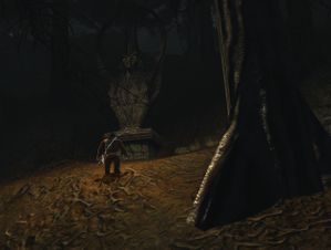 Foret noire 10