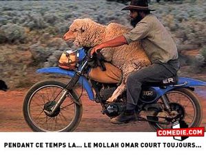 MOLLAH-OMAR.jpg