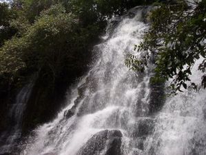 Lemboa-032-copie-1.jpg