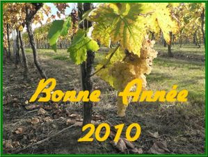 bonne-annee-2010.jpg