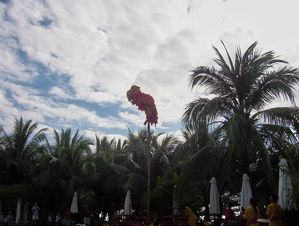 014_14.jpg