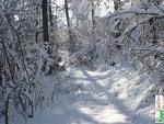 Hiver