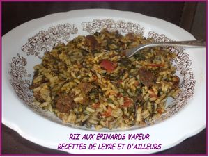 RIZ VAPEUR