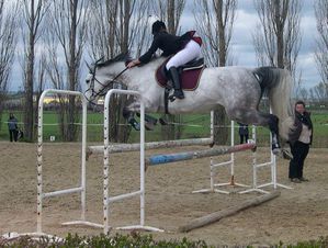 rencontre passion cheval