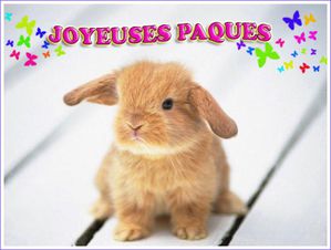 joyeuses-paques.jpg