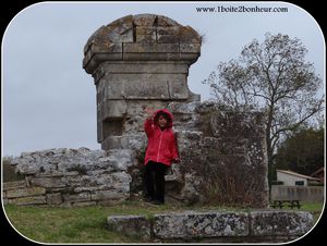 eden-citadelle.jpg