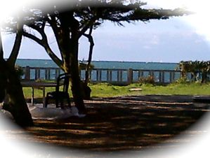 IMG-20121028-00938.jpg