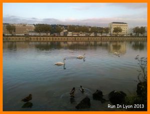 WP_004434--Medium-.jpg